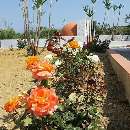 Papaelias * Kefalos (Kos)