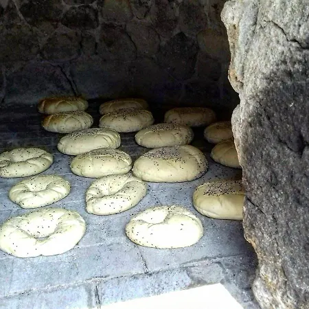 Papaelias